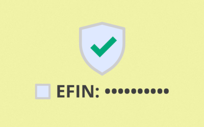 Tips for Protecting Your EFIN